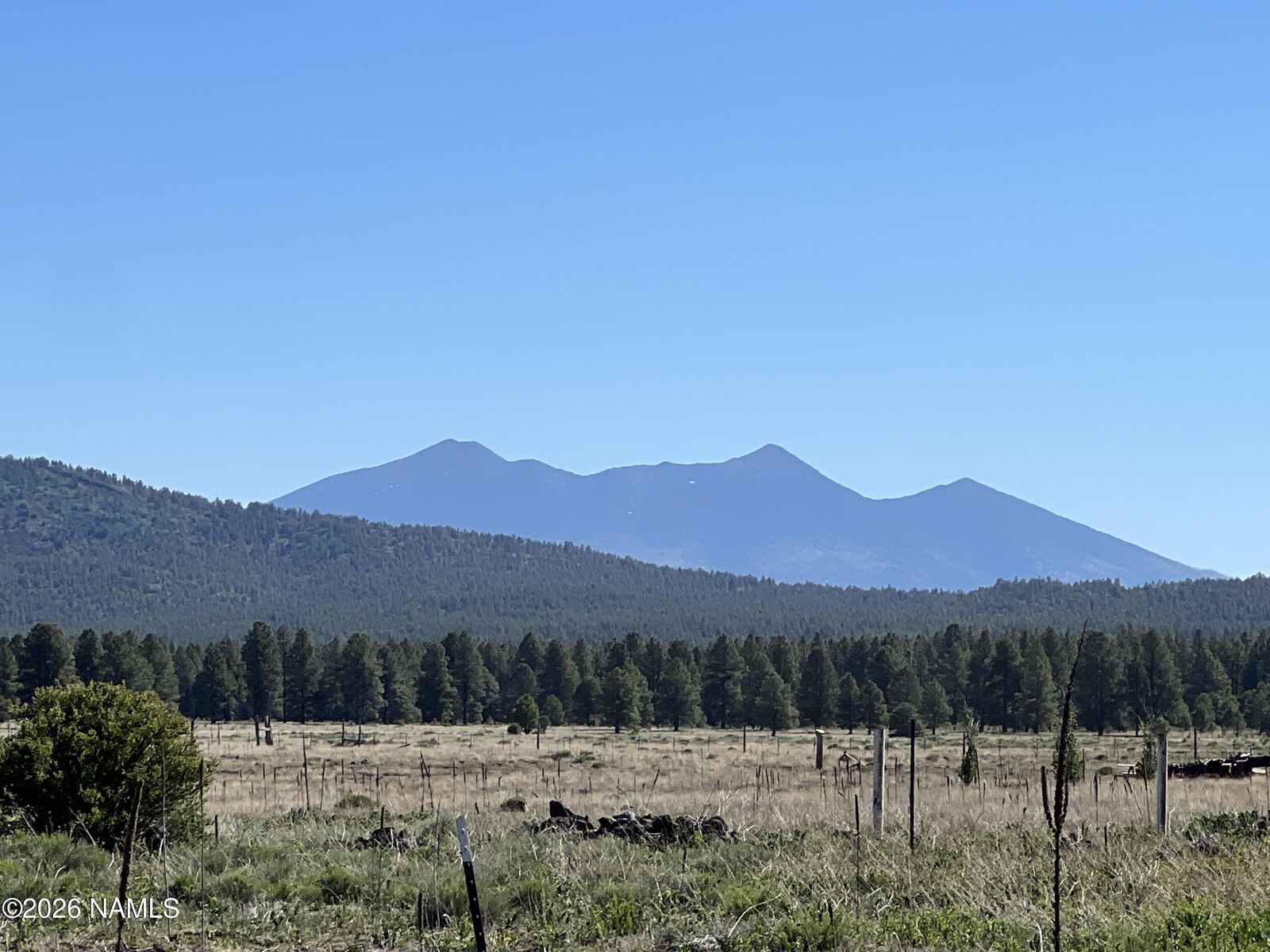 Property Photo:  13294 Dog Haven Place  AZ 86018 