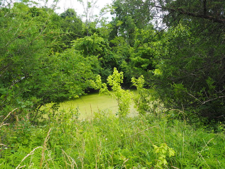 Property Photo:  8185 Camp Ernst Road  KY 41005 