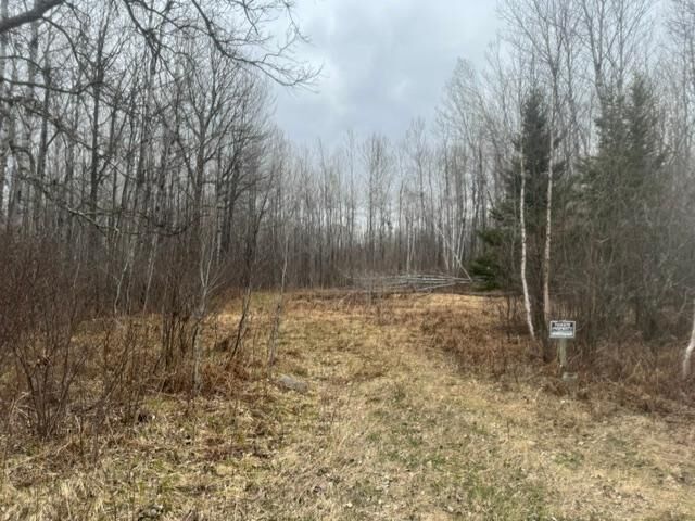 Property Photo:  Xxx Frazer Road  MN 56631 