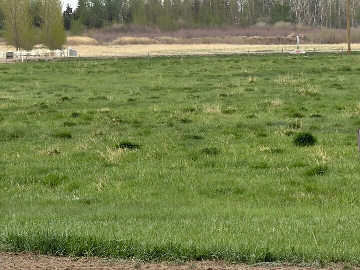 Property Photo: Near Trans Canada Hwy 1 Acres AB T1R 1C3