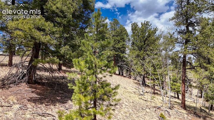 Property Photo:  16 View Circle  CO 80816 