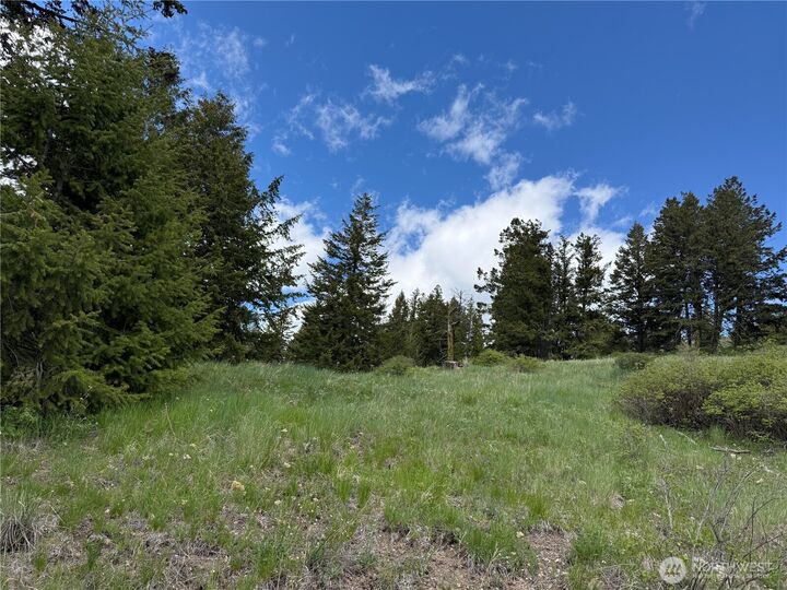 Property Photo:  0  Toroda Creek Road  WA 98859 