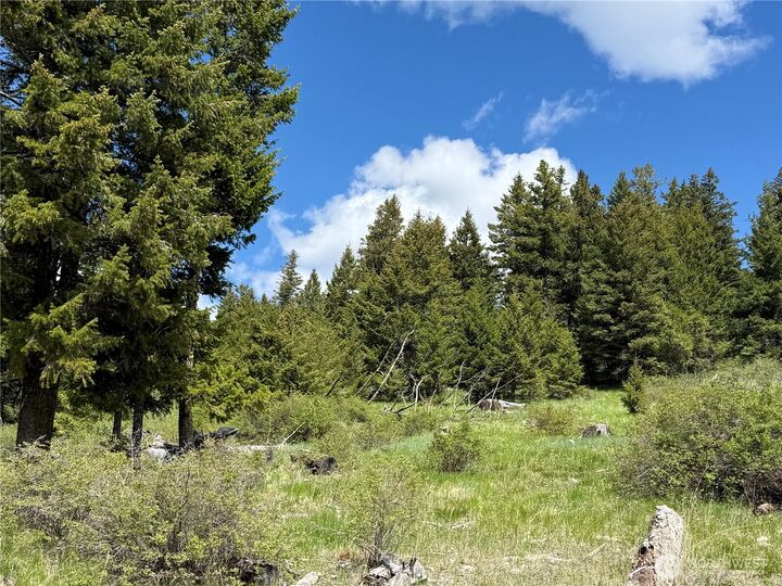 Property Photo:  0  Old Sheridan Road  WA 98859 