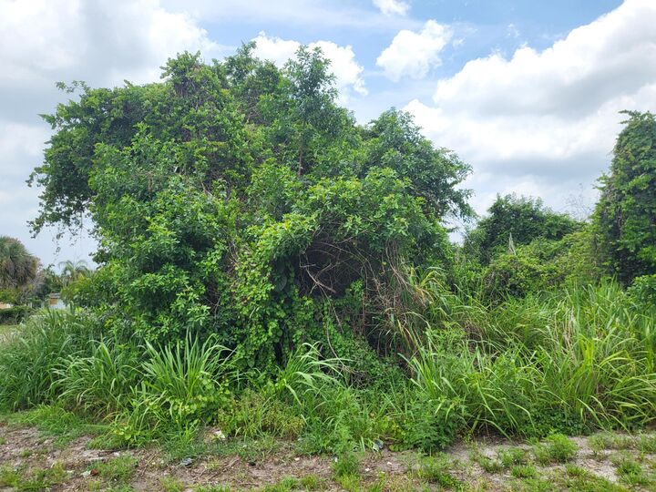 Property Photo:  0 Avenue R  FL 34947 
