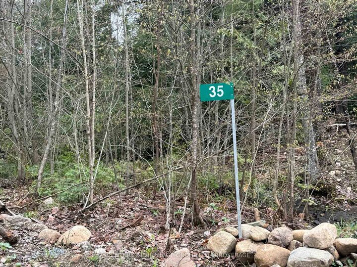 35 Maple View Court — photo 1