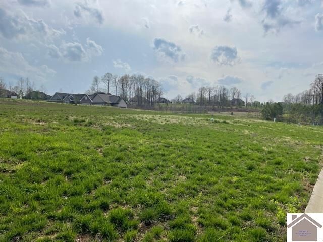 Property Photo: 165 Low Ridge Lane KY 42003