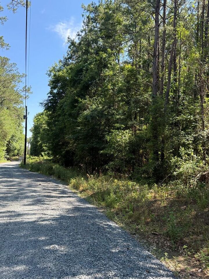Property Photo:  000 Appian Way  GA 31716 