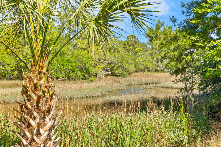 Property Photo:  113 Historic Drive  SC 29464 