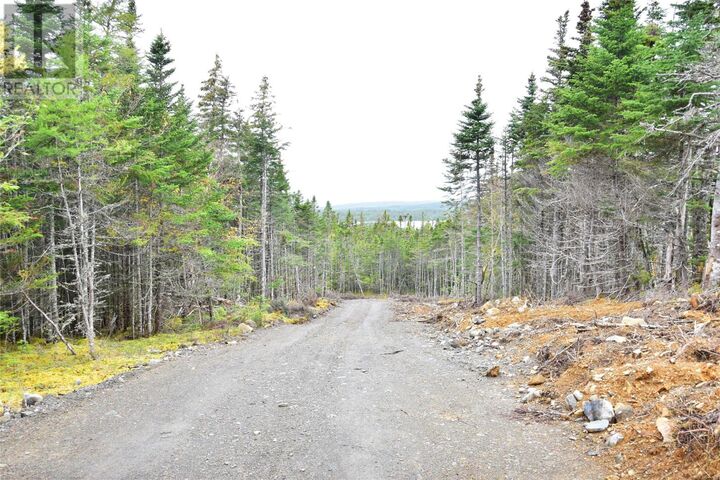 Property Photo:  Lot 4 Second Pond Road  NL A0A 1G0 