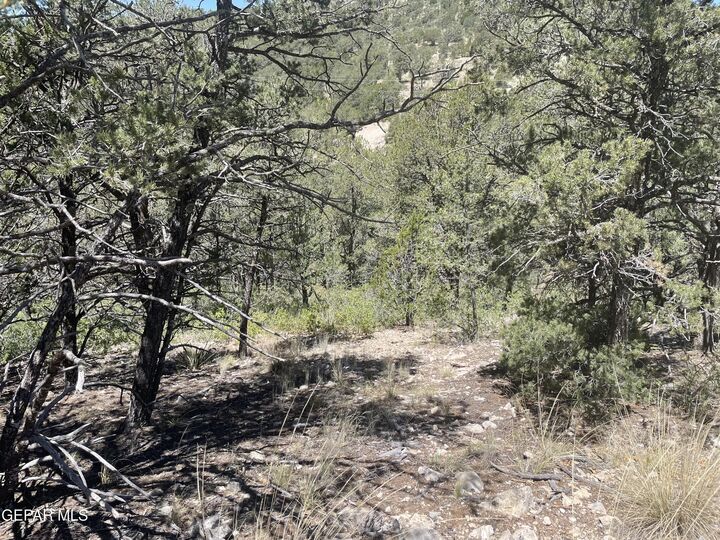 Property Photo:  60 Canyon Road  NM 88350 