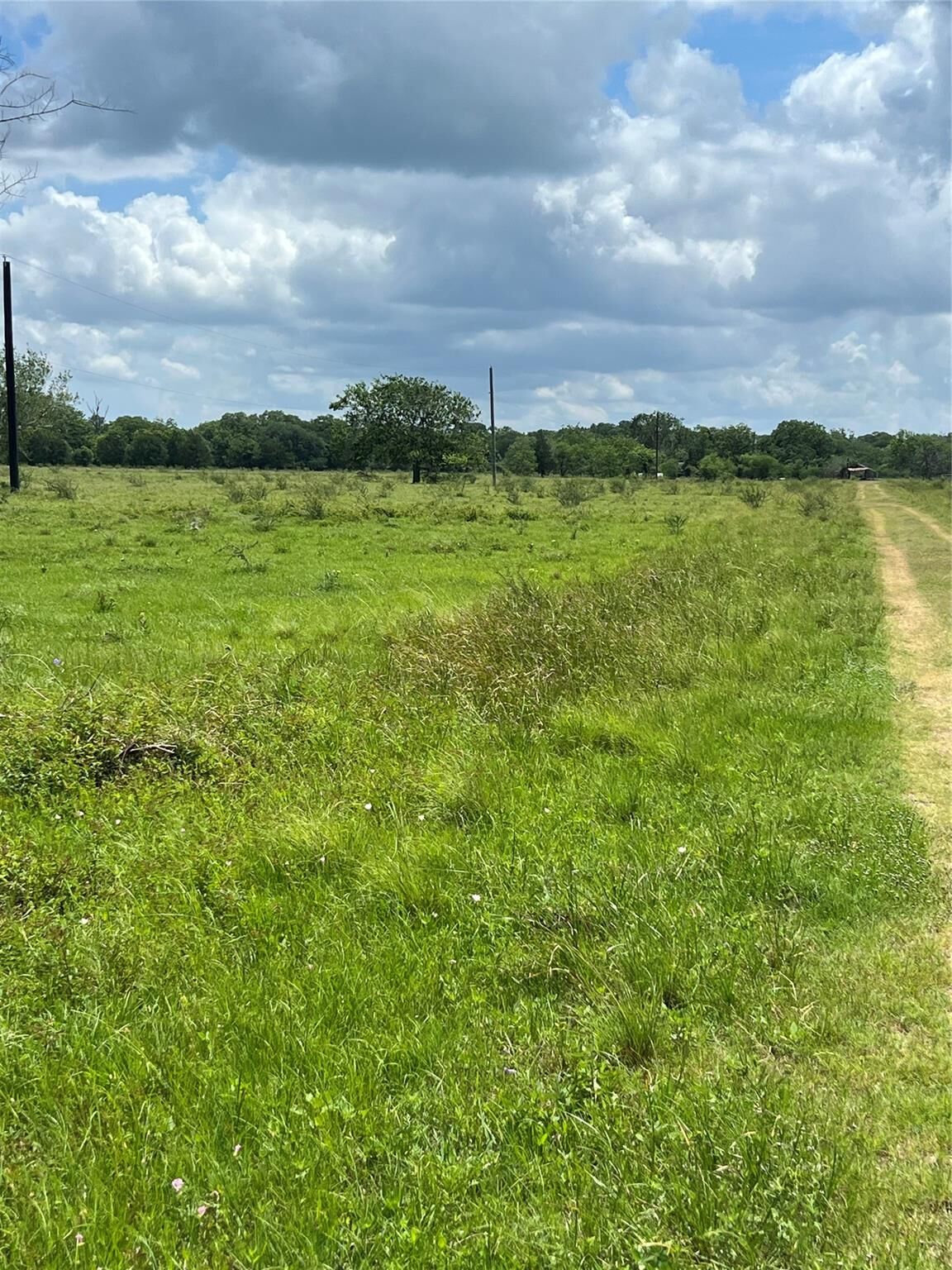 Property Photo:  14113 Peters Road  TX 77461 