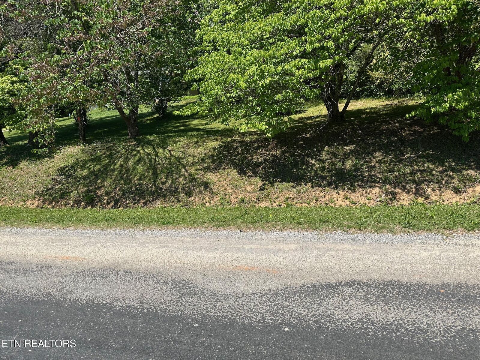 Property Photo:  Mars Hill Rd  TN 37381 