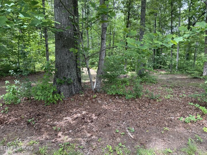 Property Photo:  3422 Airport Rd  TN 37854 