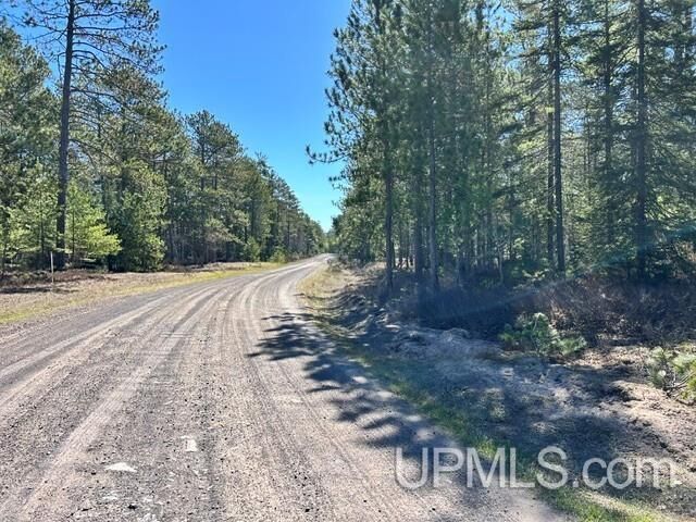 Property Photo:  Unit 61 Little Rice Lake Road  MI 49945 