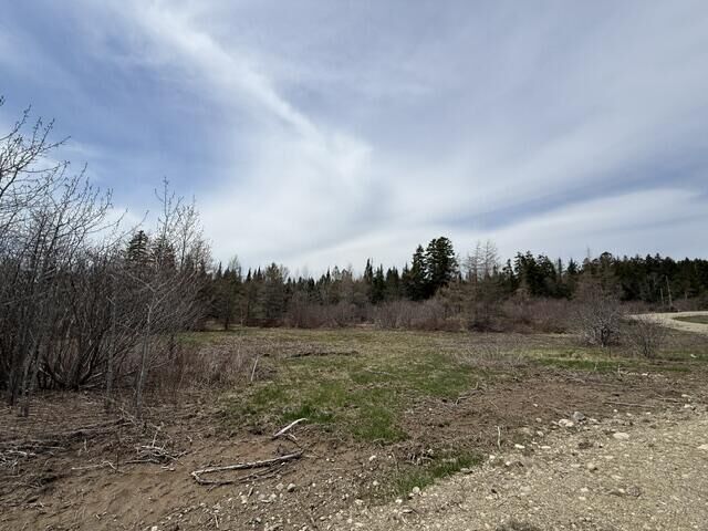 Property Photo: Lot 5 Holmes Bay Farms Road ME 04691