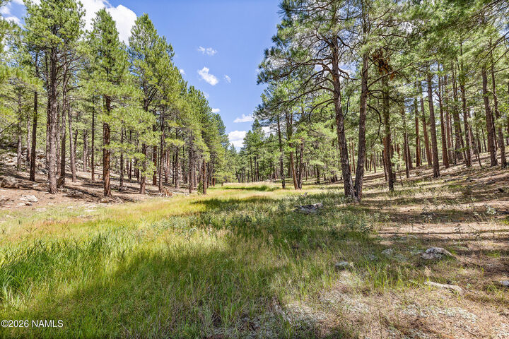 Property Photo:  3456 Laurie Lane  AZ 86005 
