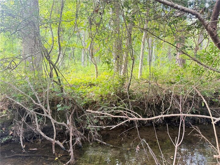 Property Photo:  62046 Highway 1090  LA 70452 