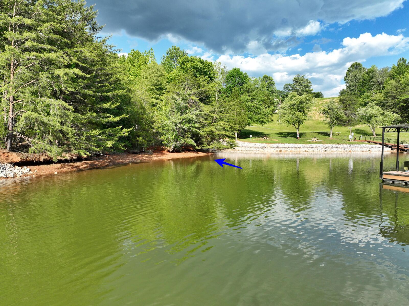 Property Photo:  Lot 56 Blue Heron Bluff  TN 37748 
