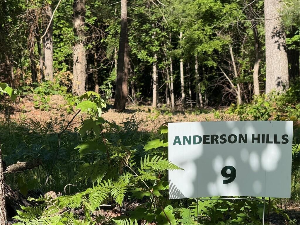 Property Photo:  000 Parks Ridge Road  NC 28697 
