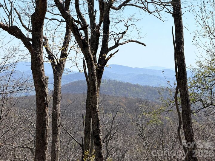 Property Photo: 536 Boone Ridge Lane NC 28607