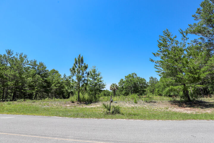 Property Photo:  1252 Trout Drive  FL 32433 