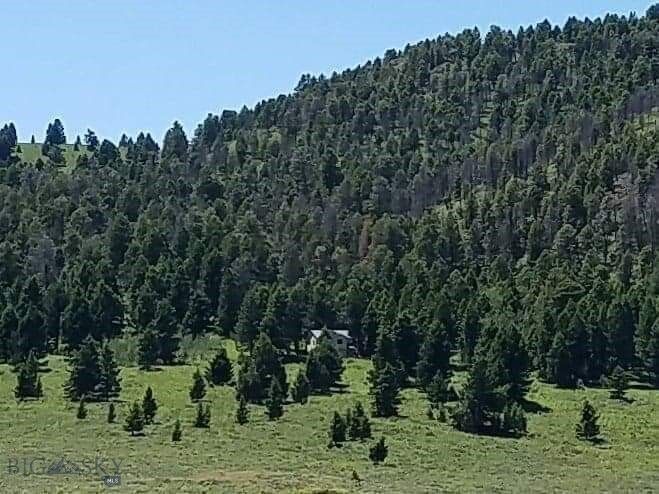 Property Photo: Parcel 23 Buffalo Lance Ranch MT 59720