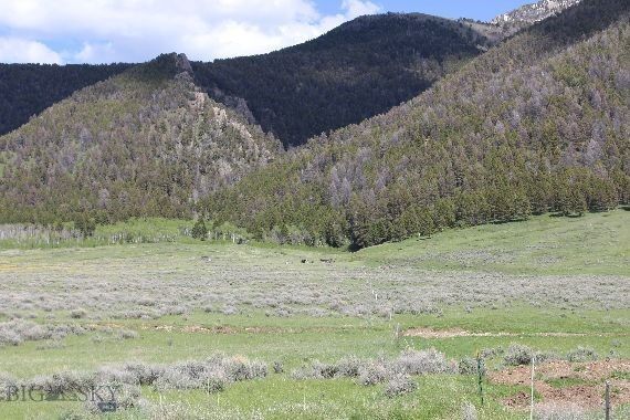Property Photo: Parcel A55 Sportsman's Paradise MT 59720
