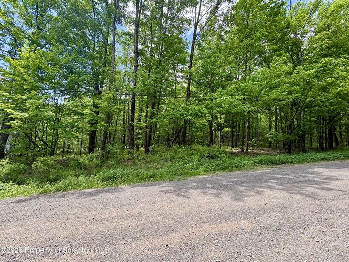 Property Photo:  Marys Lane  PA 18444 