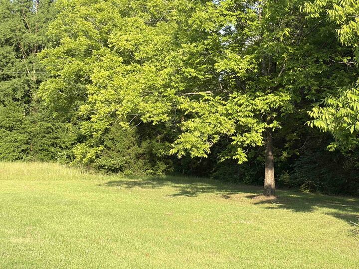 Property Photo: Tbd State Hwy 154 TX 75640