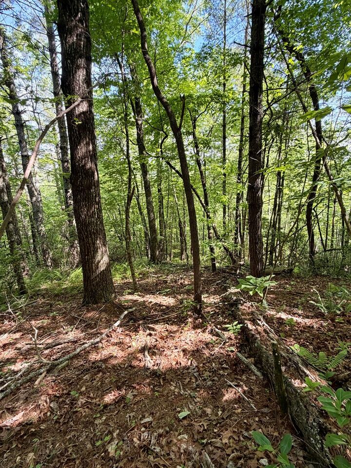 Property Photo:  675 Ed Graves Rd  NC 28906 