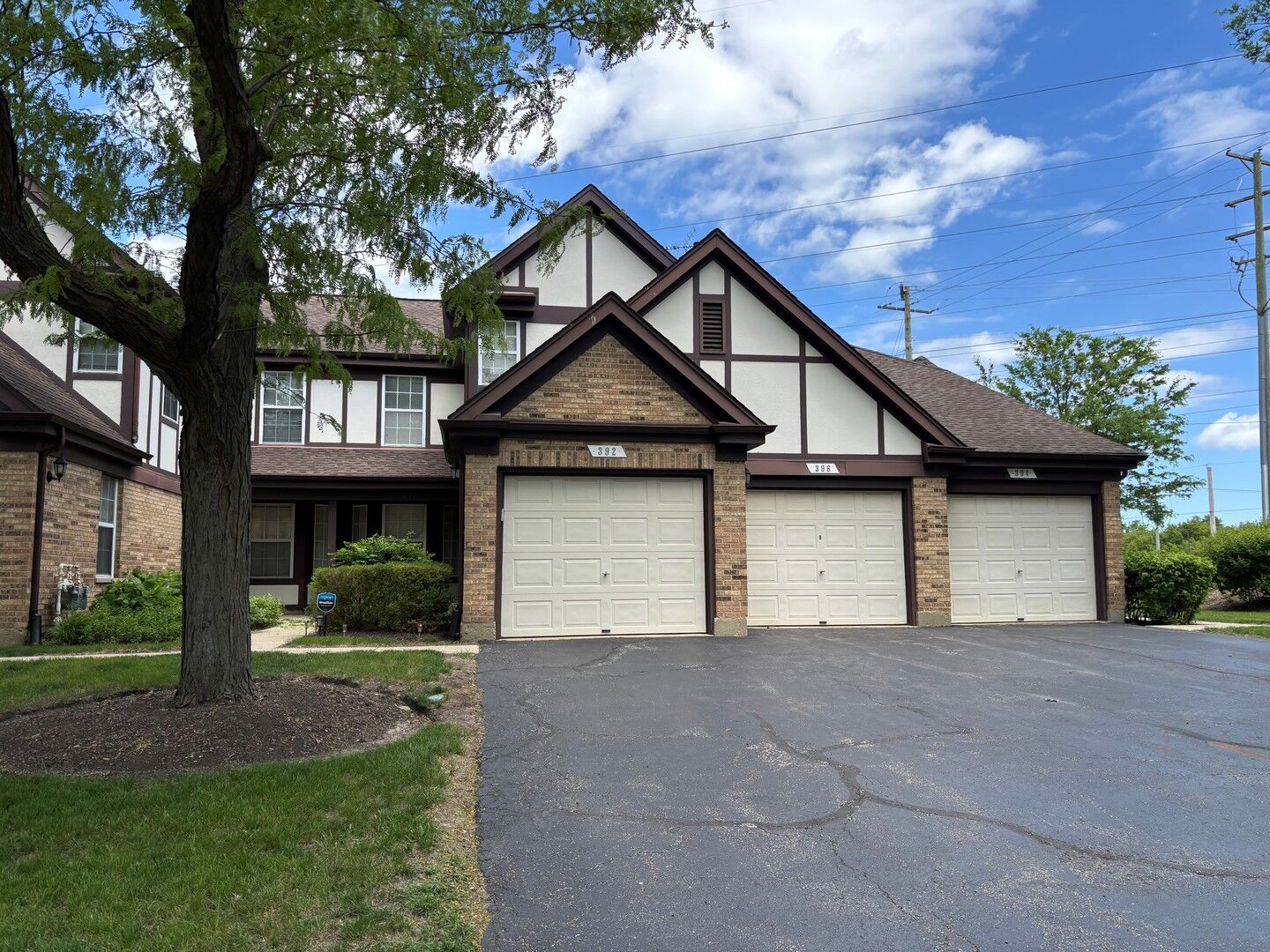 Property Photo:  396 Cobbler Lane 396  IL 60089 