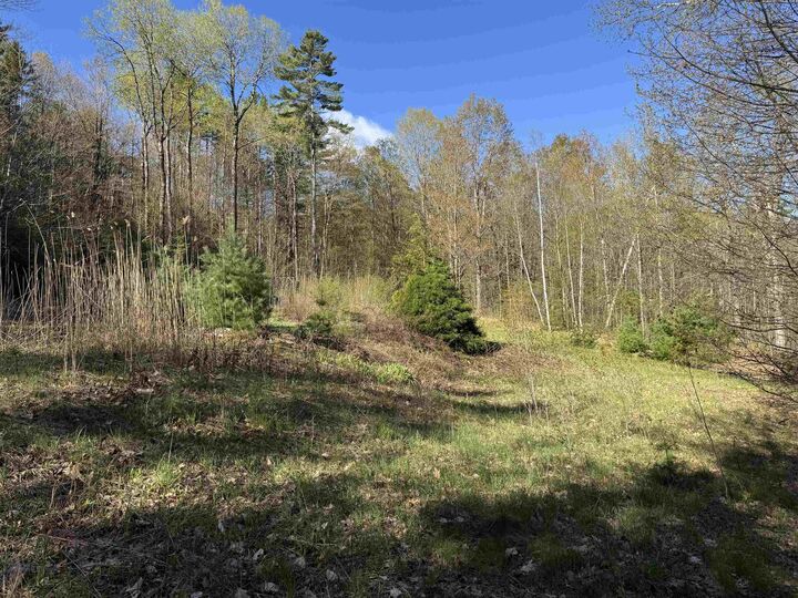 Property Photo:  807 Kidderhood Road  VT 05083 