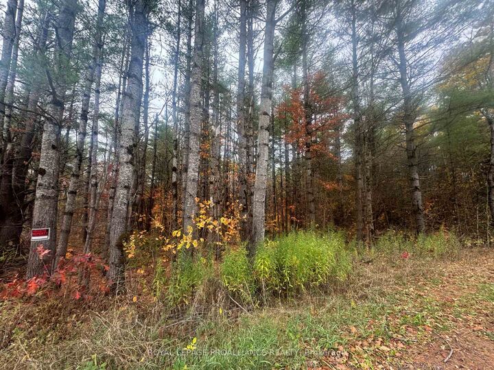 Property Photo:  945 Shanick Road  ON K0K 2M0 