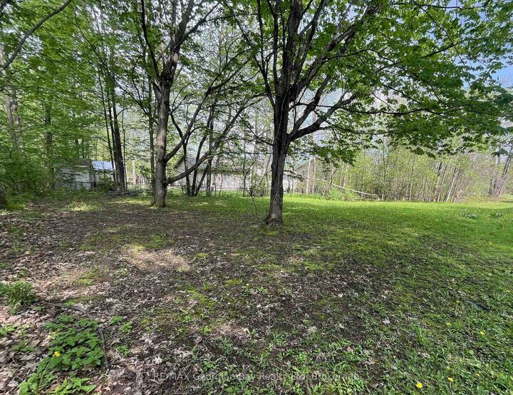 Property Photo:  50 George Street  ON L0K 2A0 