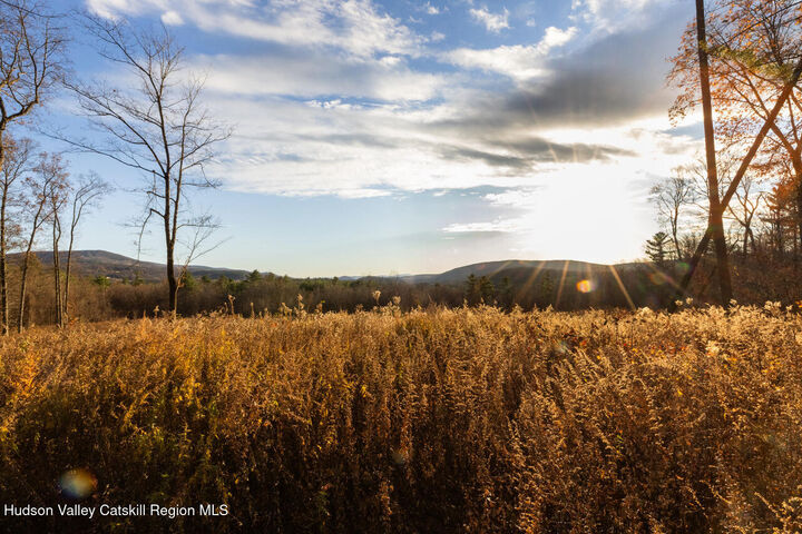 Property Photo: 0 Mitchell NY 12529