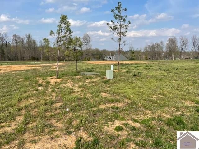 Property Photo: 200 Falling Brook Dr KY 42003