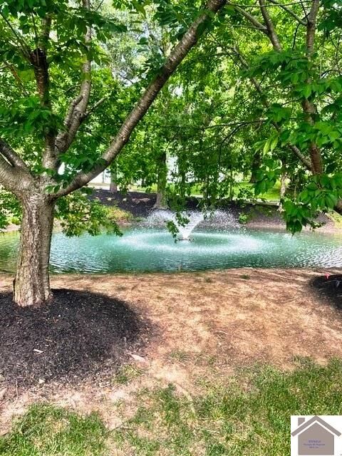 Property Photo: 200 Falling Brook Dr KY 42003