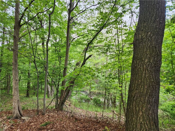 Property Photo: 65 Sunset West Circle NY 14850
