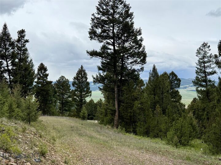 Property Photo:  130 Granite Road  MT 59858 