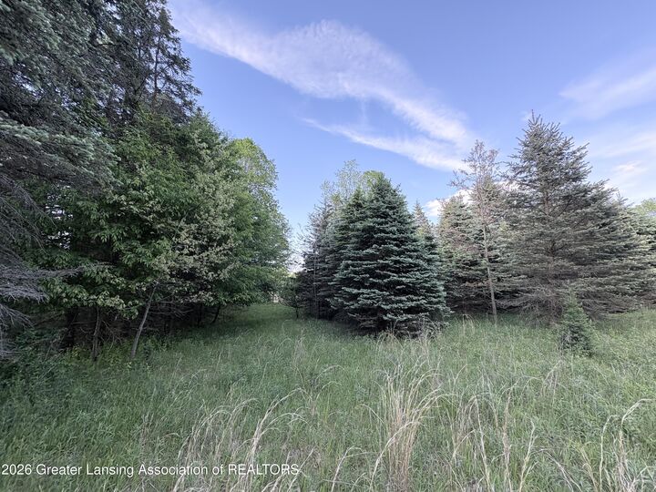 Property Photo:  18 E Riverside Drive  MI 48846 