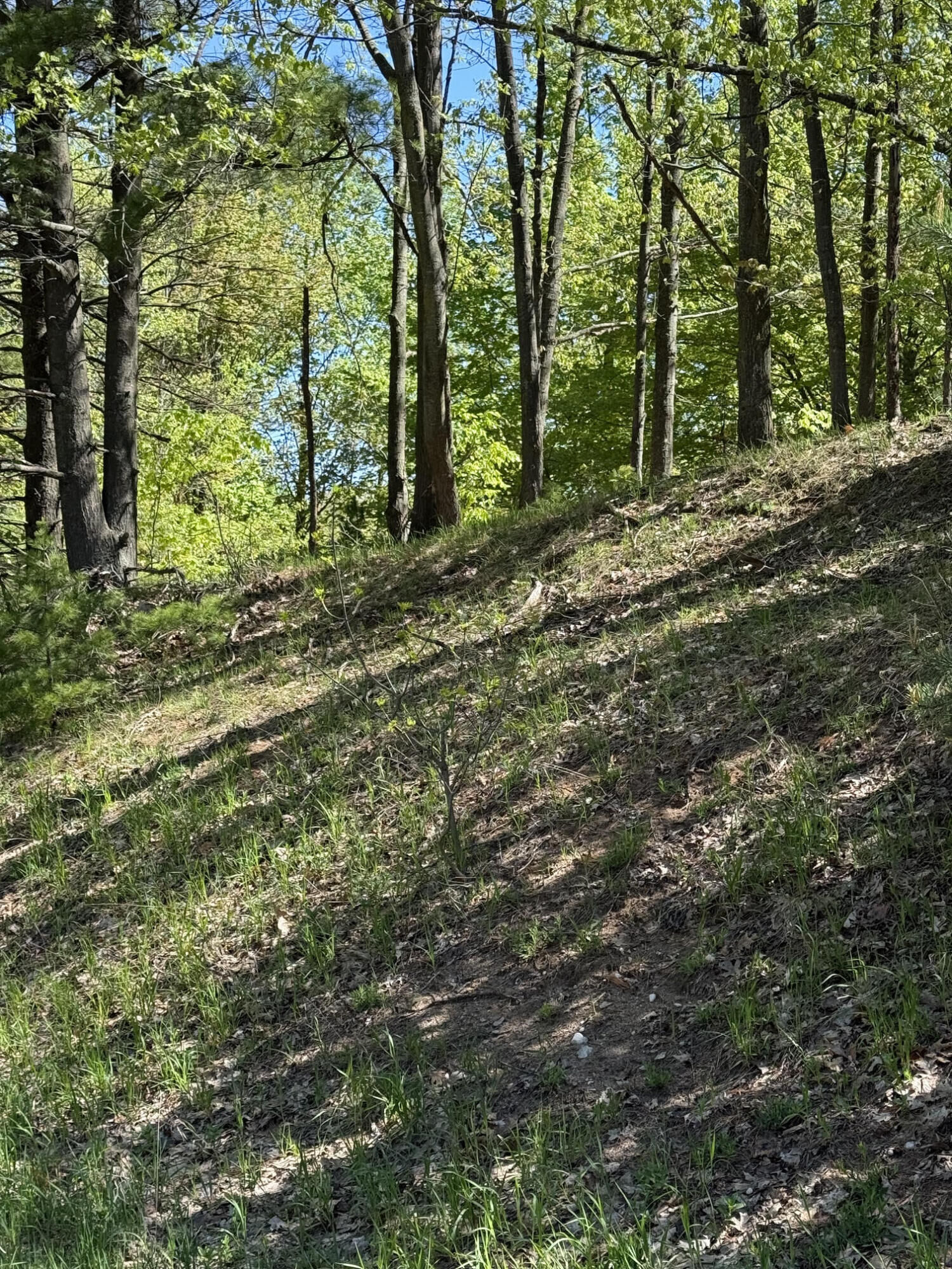 Property Photo:  Sadie Lane  MI 49614 