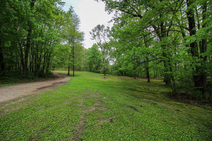 Property Photo:  11111 Born Street  MI 49093 