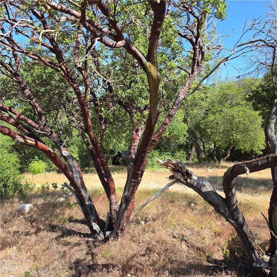 Property Photo:  3367 3rd Street  CA 95422 