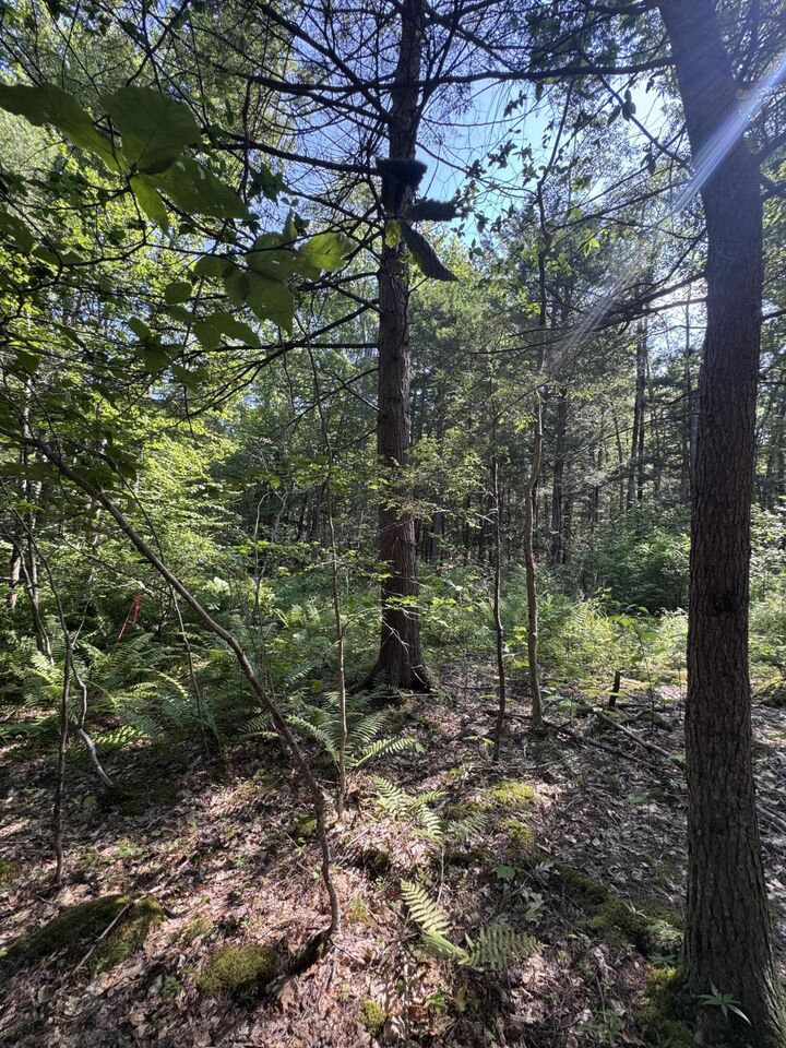 Property Photo:  L24 Poplar Ridge Drive  ME 04105 