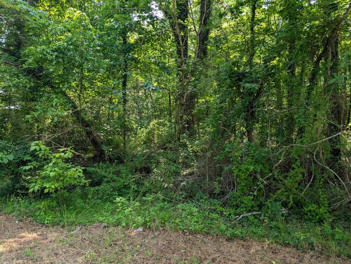 Property Photo:  0 Montgomery  TN 37387 