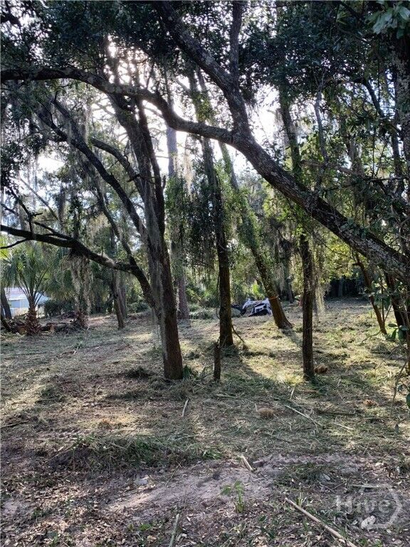 Property Photo: 0 McKenzie Avenue GA 31328