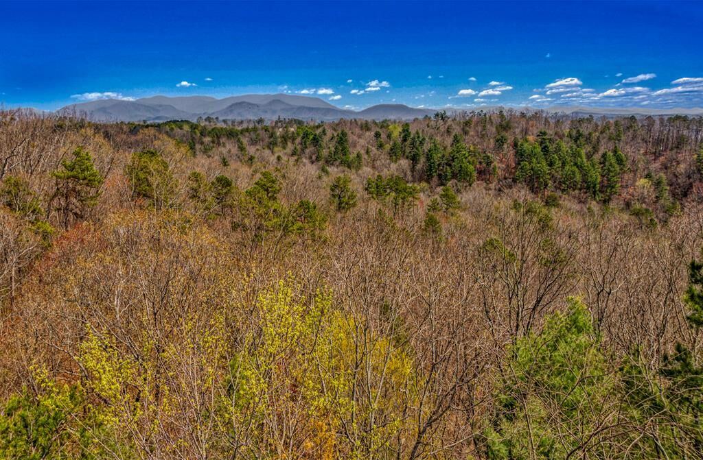 Property Photo:  104 Ac Legion Road  GA 30540 