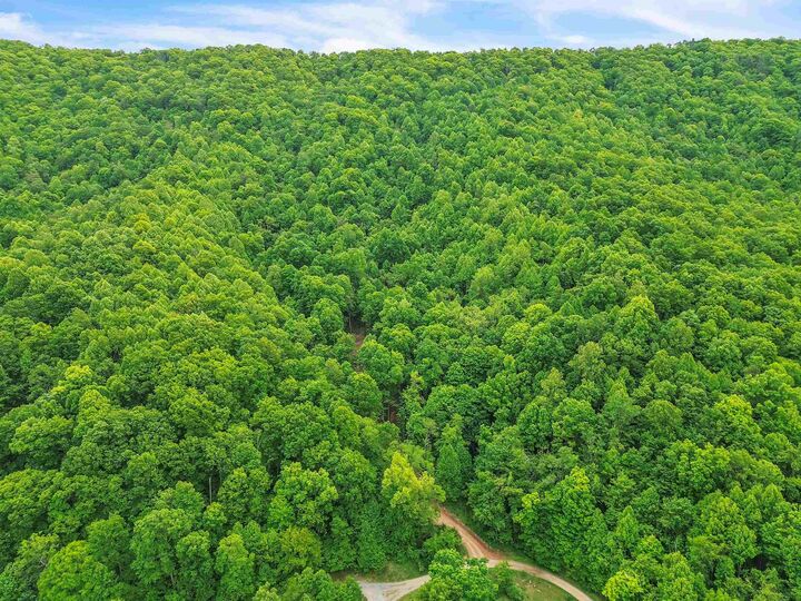 Property Photo:  0 Ravens Ridge Road  VA 24134 