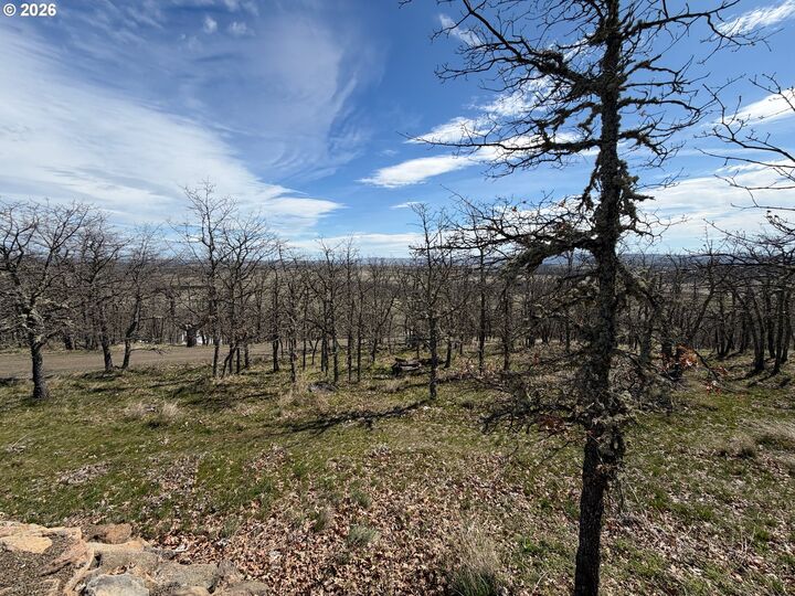 Property Photo:  3 Trevor Rd  WA 98620 