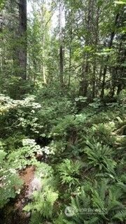 Property Photo:  7316  238th Avenue NE  WA 98052 